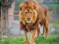 Newquay Zoo